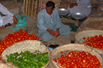 Egyptian vegetable vendor